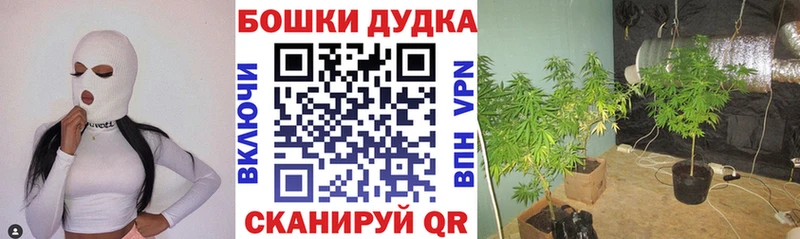 Шишки марихуана VHQ Серпухов